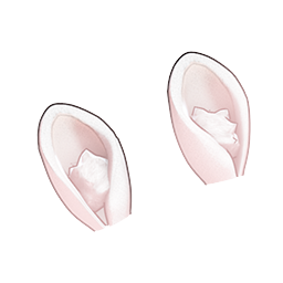 迷你兔耳的头像
