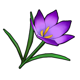 物品图标 典雅番红花.png