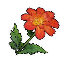 物品图标 橙色硫华菊.png