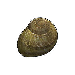 物品图标 石蜑螺.png