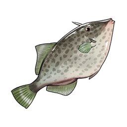 物品图标 绿鳍马面鲀.png