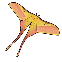 物品图标 长尾大蚕蛾-公.png