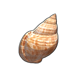 物品图标 白线海螺.png