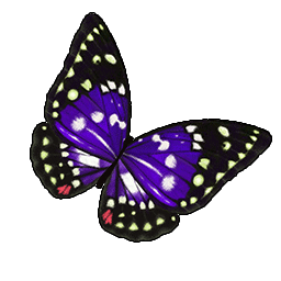 物品图标 大紫蛺蝶.png