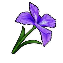 物品图标 幽静鸢尾花.png