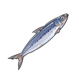 物品图标 沙丁鱼.png