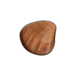 物品图标 虾夷蚶蜊.png