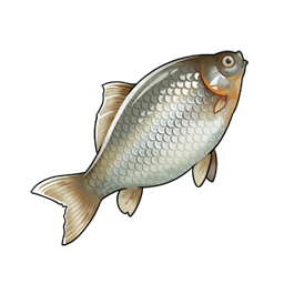 物品图标 鲫鱼.png