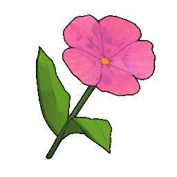物品图标 粉色小花.png