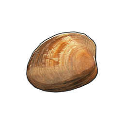 物品图标 文蛤.png