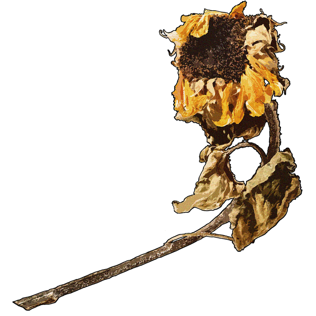 F-07 贝海姆世界·正收藏品044.png