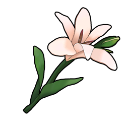 物品图标 素色晚香玉.png