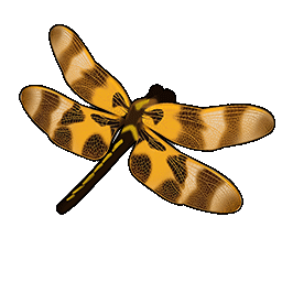 物品图标 万圣节旗帜蜻蜓.png