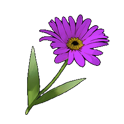 物品图标 紫色雏菊.png