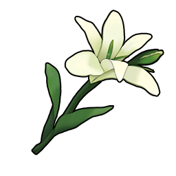 物品图标 白色晚香玉.png