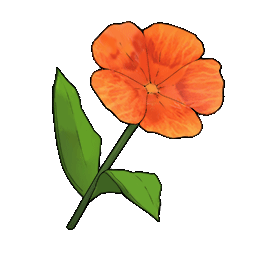 物品图标 棕色小花.png