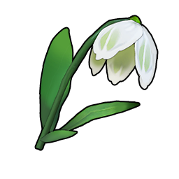 物品图标 白色雪滴花.png