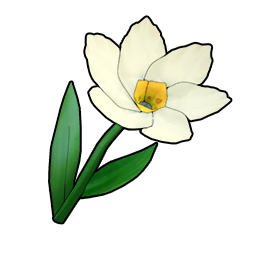 物品图标 白色水仙.png