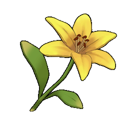 物品图标 黄色百合.png
