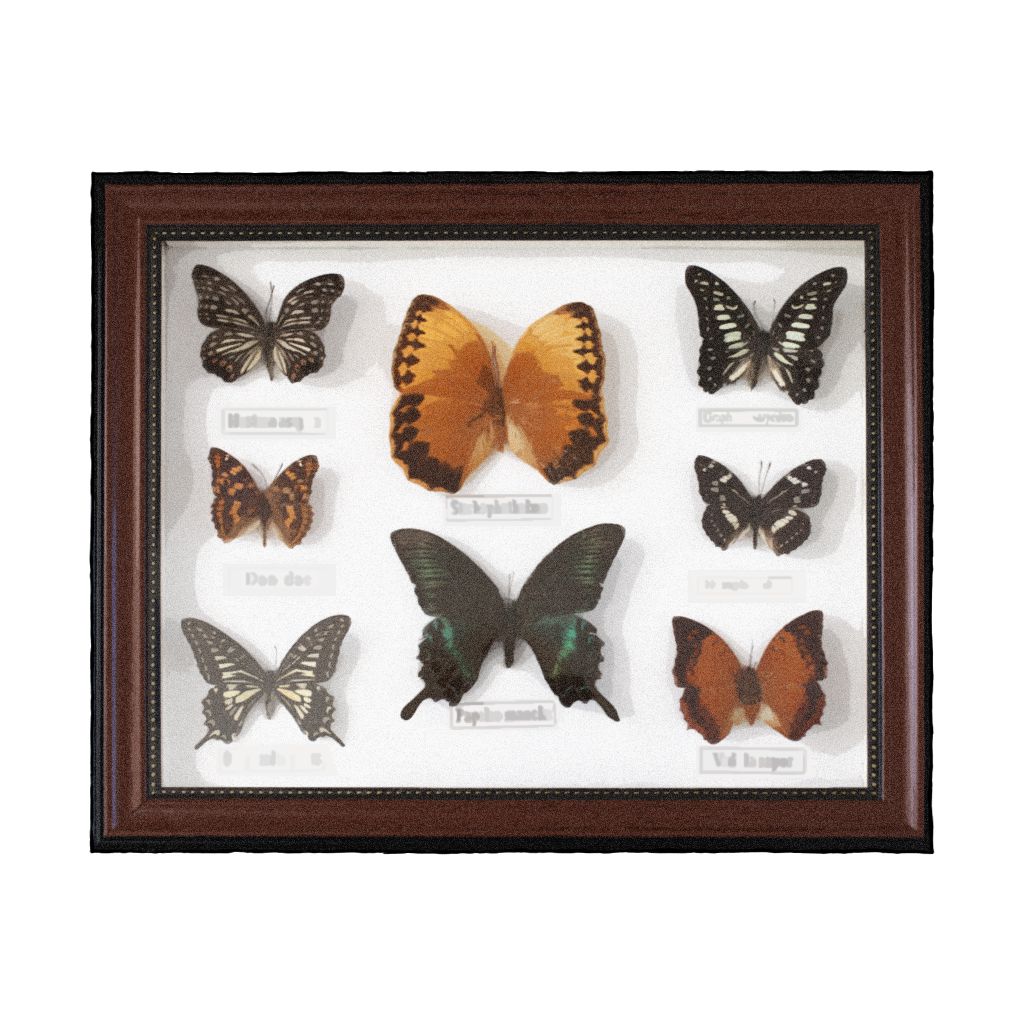 F-07 贝海姆世界·正收藏品048.png