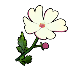 物品图标 白色夜香福禄考.png