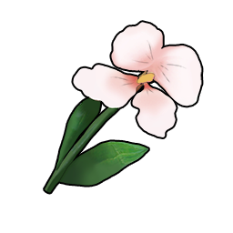 物品图标 白色姜花.png