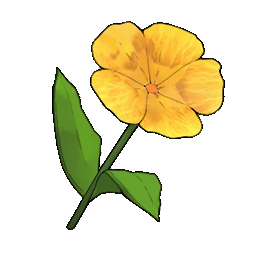 物品图标 黄色小花.png