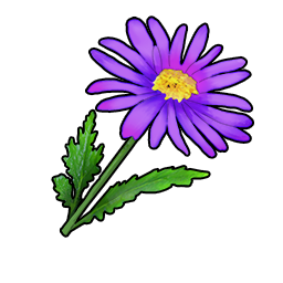 物品图标 典雅紫菀.png