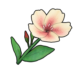 物品图标 浅色月见草.png