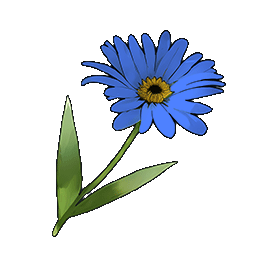 物品图标 蓝色雏菊.png
