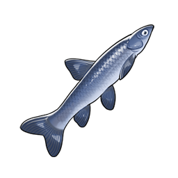 物品图标 青鱼.png