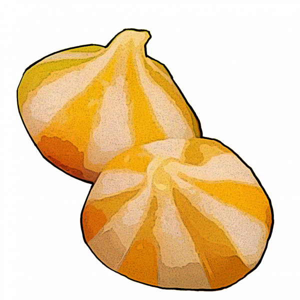 文件:F-20 鸳鸯锅收藏品004.png