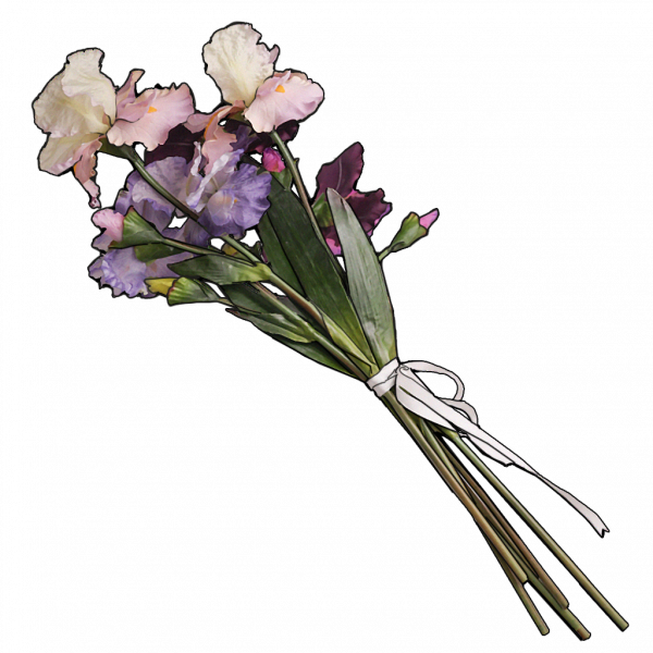 文件:F-07 贝海姆世界·正收藏品021.png