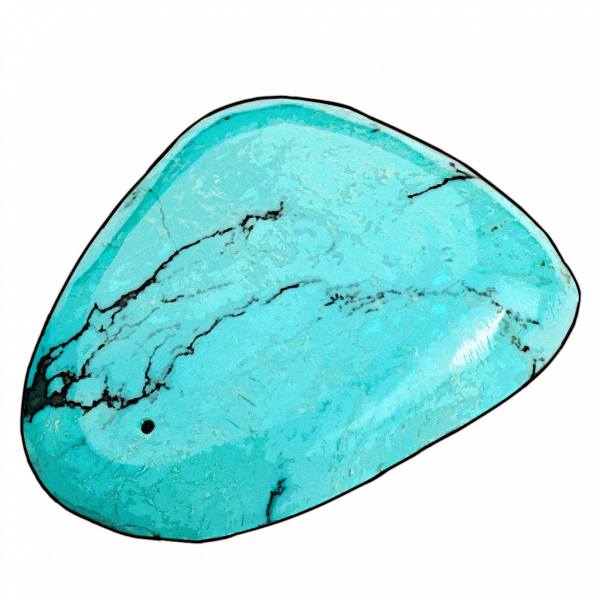 文件:F-07 贝海姆世界·正收藏品003.png