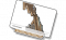 物品图标 射击·生存M.png