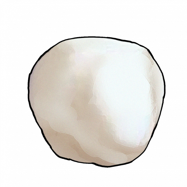 文件:F-20 鸳鸯锅收藏品013.png