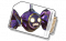 物品图标 射击·增长R.png