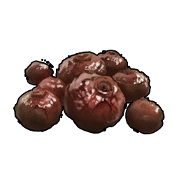 T itemicon Food Baked Berries.png