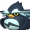 T WizardOwl icon normal.png