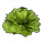 T itemicon Food Lettuce.png
