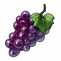 T itemicon Food Grape.png