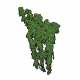 T icon buildObject Ivy01.png