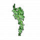 T icon buildObject Ivy02.png