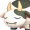 T CowPal icon normal.png