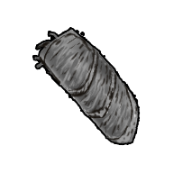 道具名棉布绑腿.png