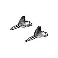 道具名踏风行.png