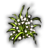物品止血草.png