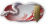 标签-红手套·倾心-1.png