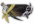 标签-刀锋·倾心-1.png