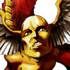 头像 金固.png